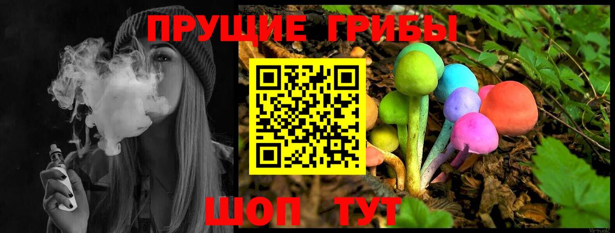 Нурлат  купить закладку  Вход с VPN  Псилоцибиновые грибы Cubensis  Псилоцибиновые грибы GOLDEN TEACHER 